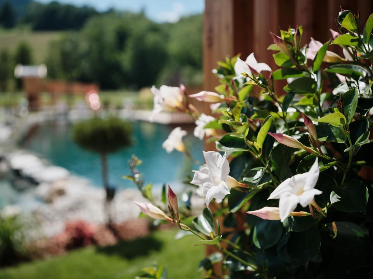 Wellness Und Brunch Morgenzeit Beheizter Naturpool Mit Sandstrand Genuss Fruehstueck Bis 13 Uhr Hochkoenig Sommercard Hotel
