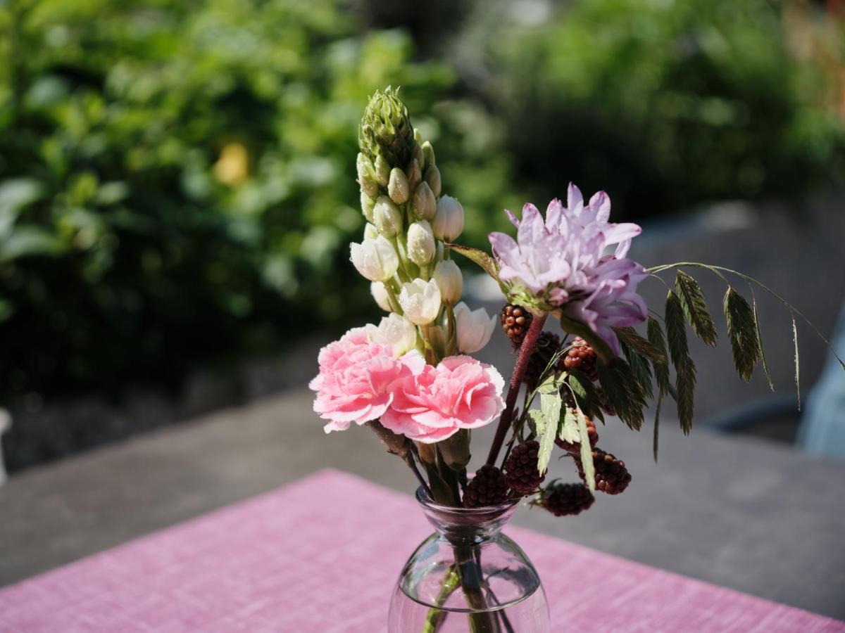 Hotel Wellness Und Brunch Morgenzeit Beheizter Naturpool Mit Sandstrand Genuss Fruehstueck Bis 13 Uhr Hochkoenig Sommercard Maria Alm am Steinernen Meer