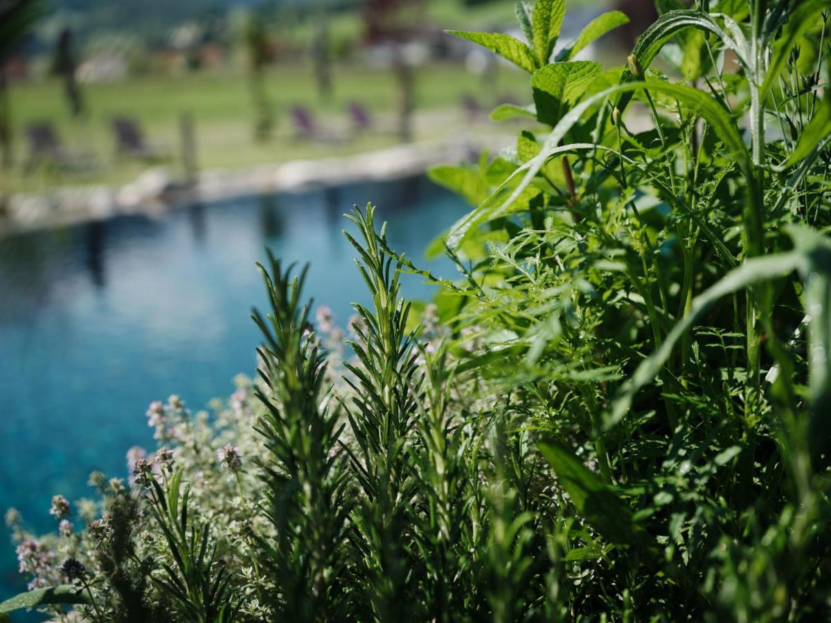 Wellness Und Brunch Morgenzeit Beheizter Naturpool Mit Sandstrand Genuss Fruehstueck Bis 13 Uhr Hochkoenig Sommercard Hotel