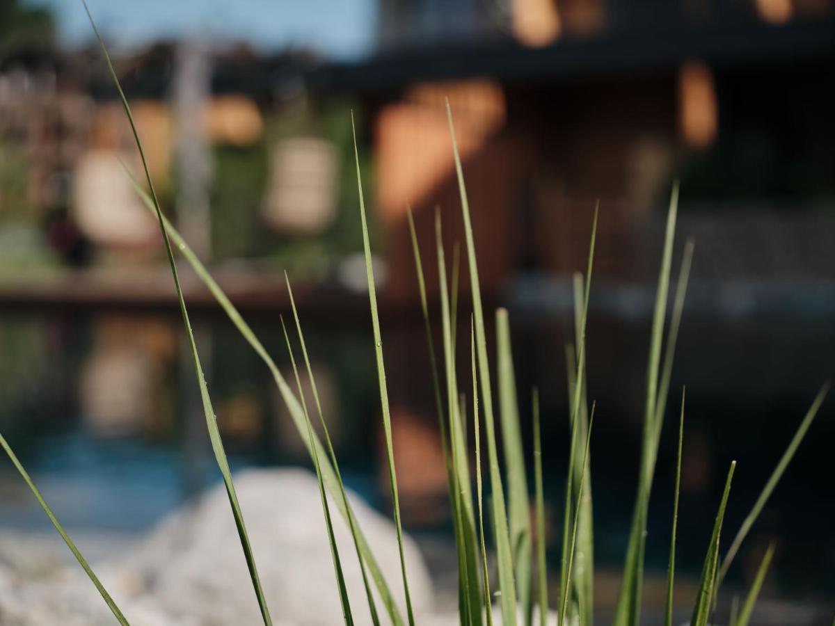 Wellness Und Brunch Morgenzeit Beheizter Naturpool Mit Sandstrand Genuss Fruehstueck Bis 13 Uhr Hochkoenig Sommercard 3* Maria Alm am Steinernen Meer